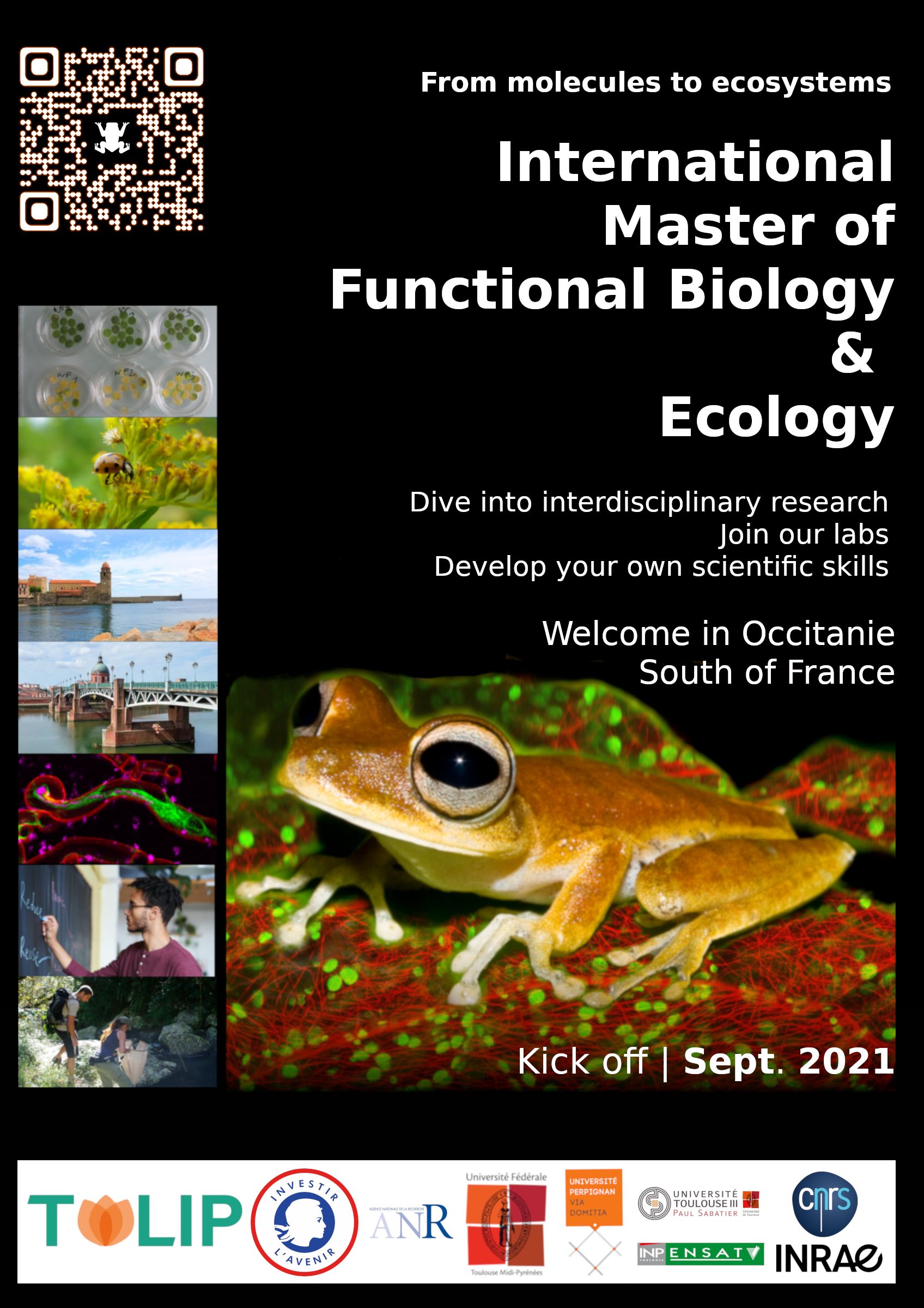 International Master's Degree "Functional Biology And Ecology - FBE ...